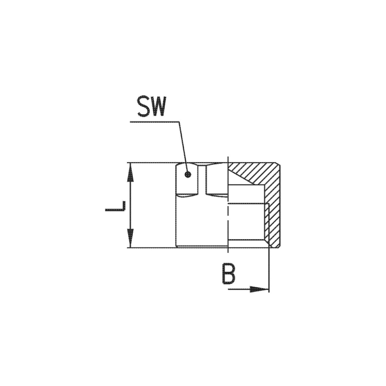 2613 3/8 Korek GW 3/8", Camozzi